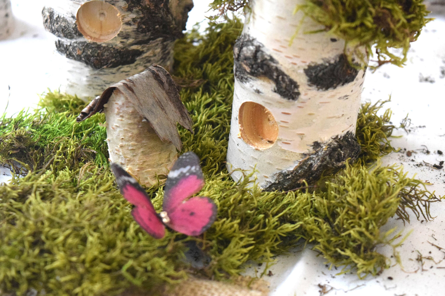 Decorative Birch Birdhouse