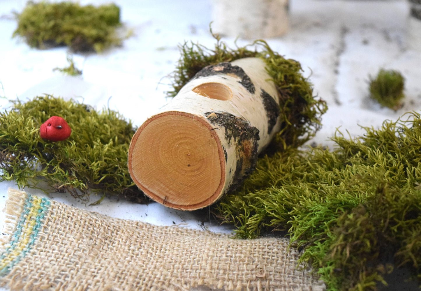 Decorative Birch Birdhouse
