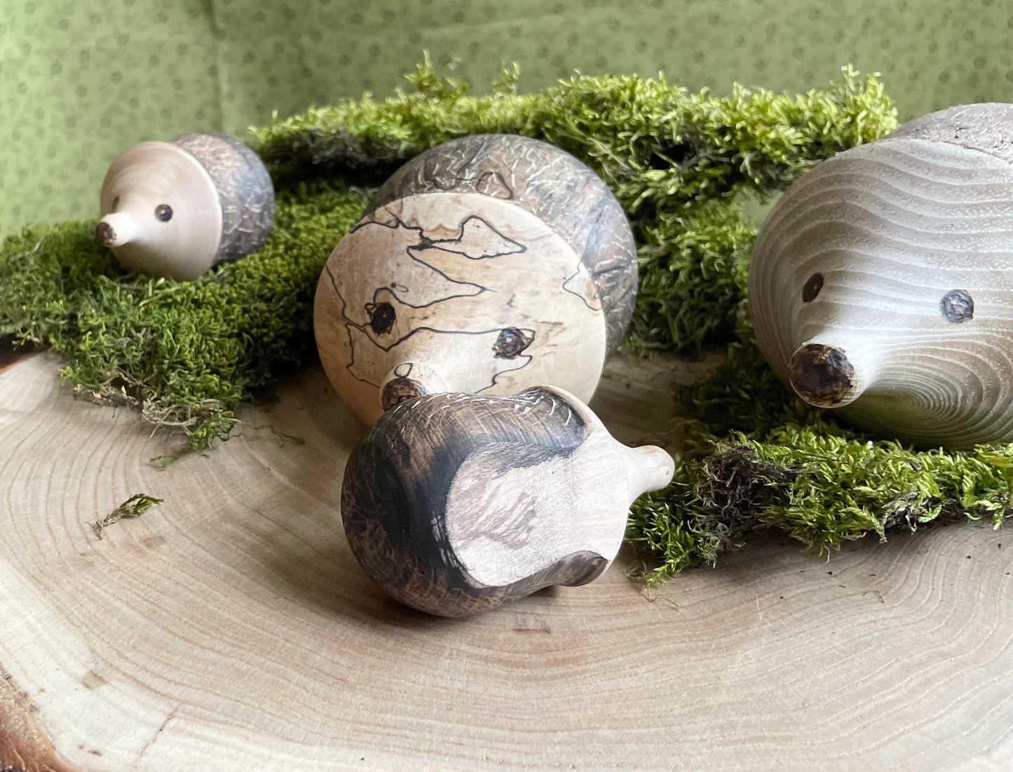 Wood Hedgehog