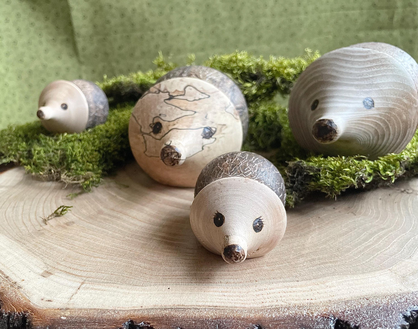 Wood Hedgehog