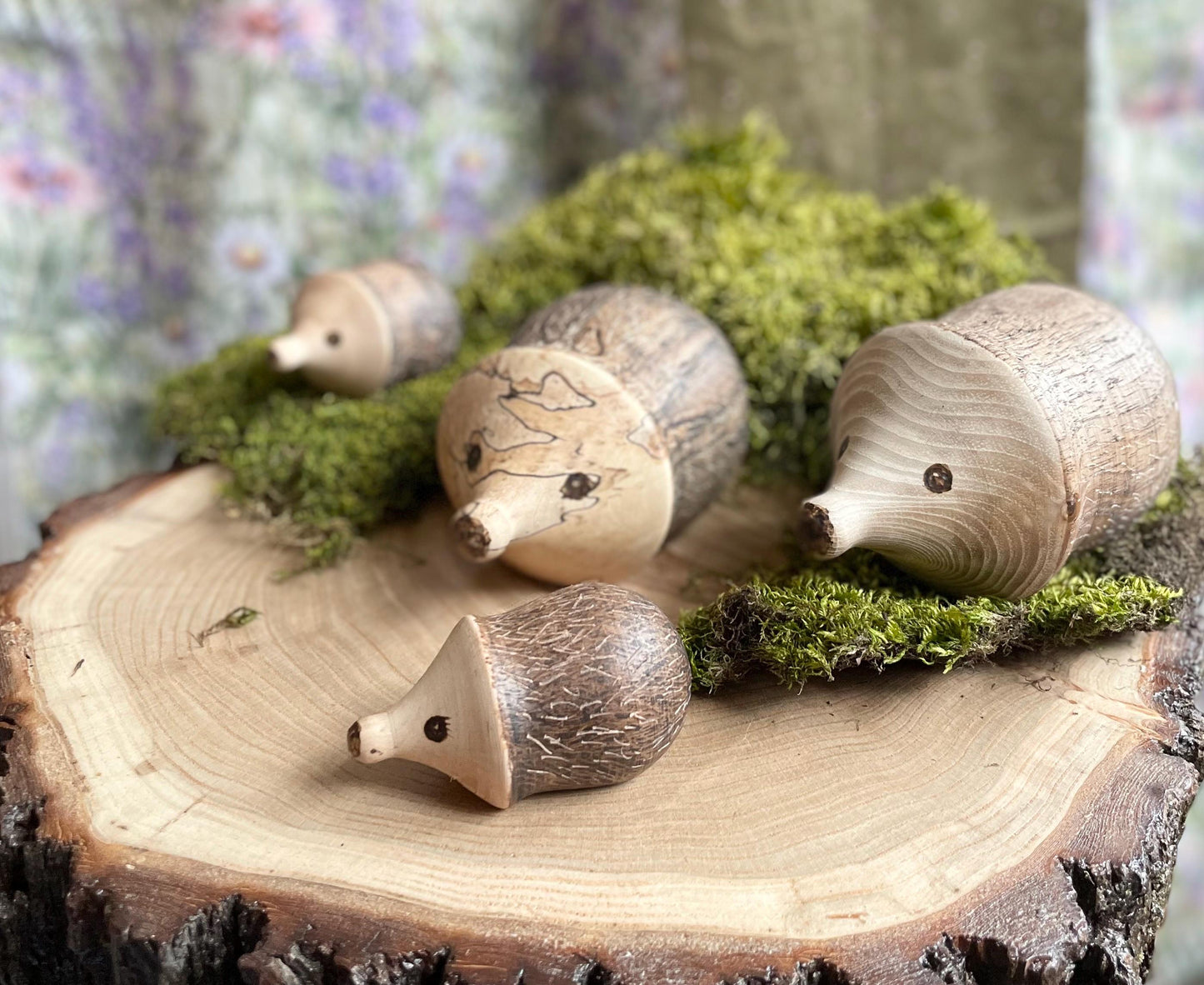 Wood Hedgehog