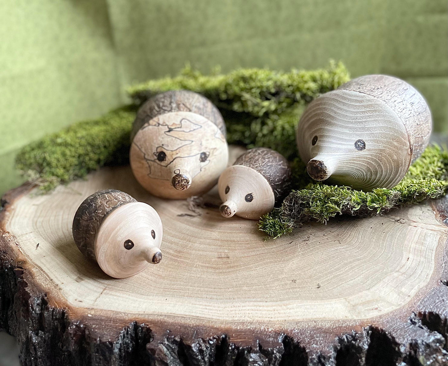 Wood Hedgehog
