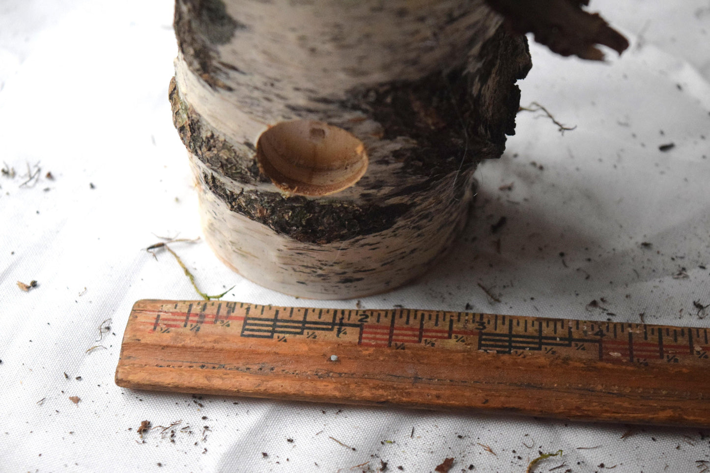 Decorative Birch Birdhouse