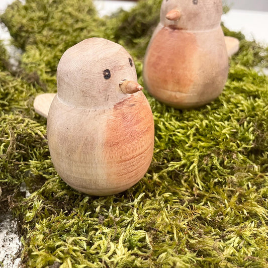 Wood Spring Robin
