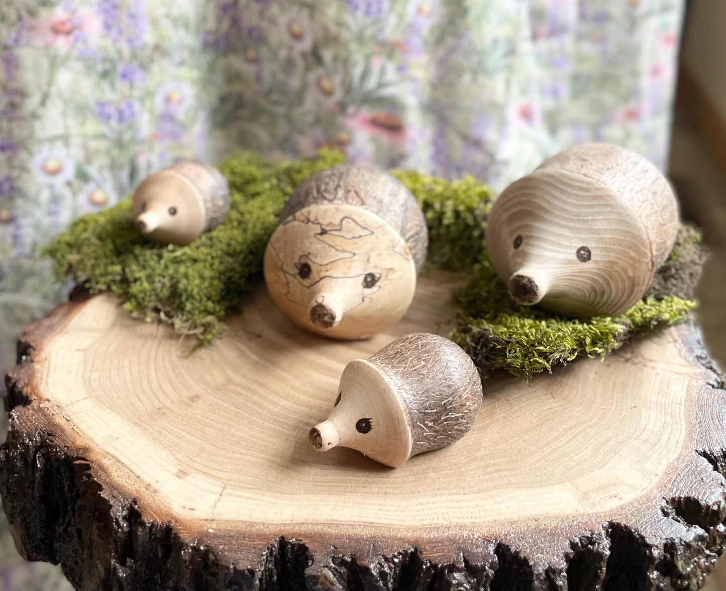 Wood Hedgehog
