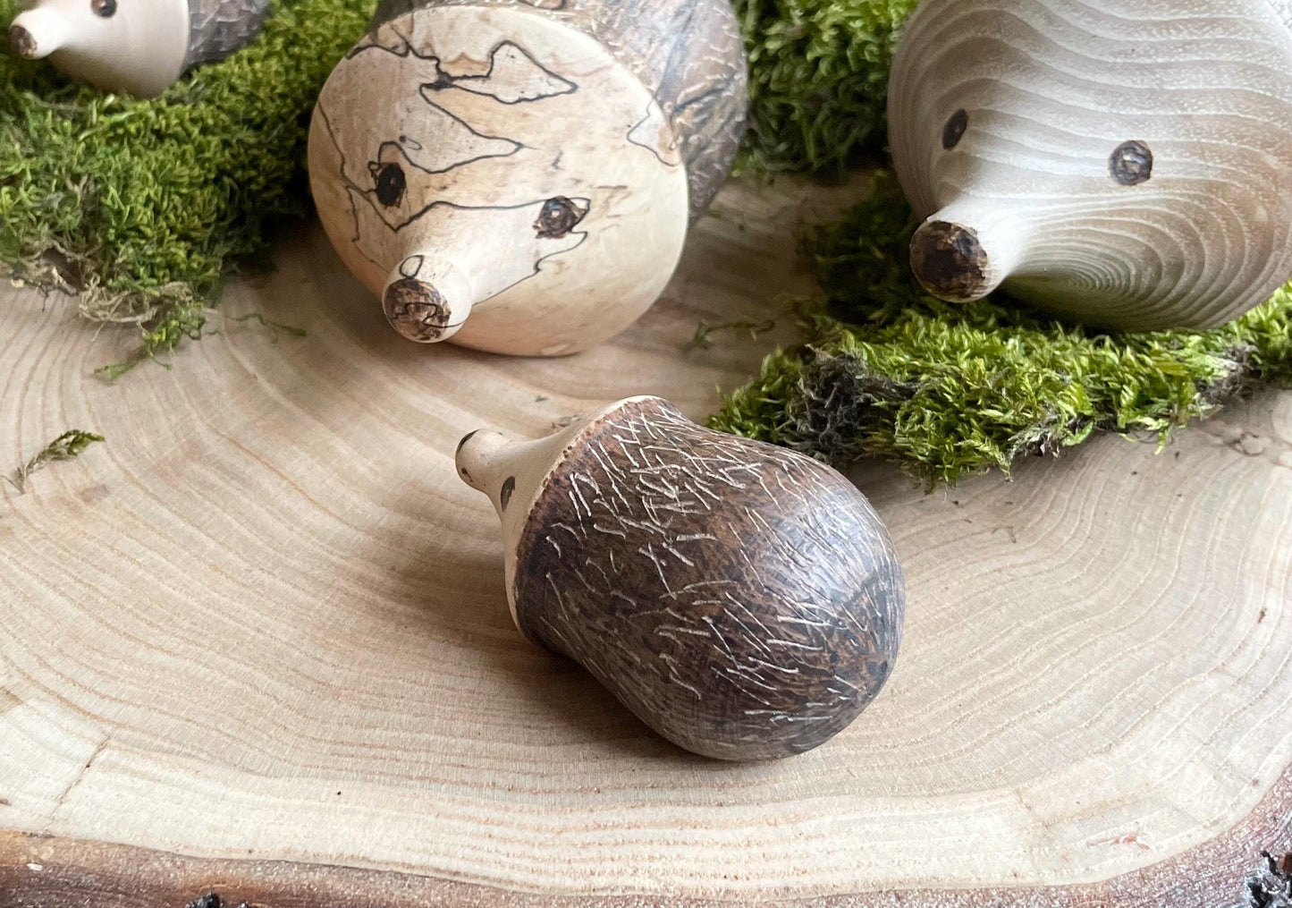 Wood Hedgehog