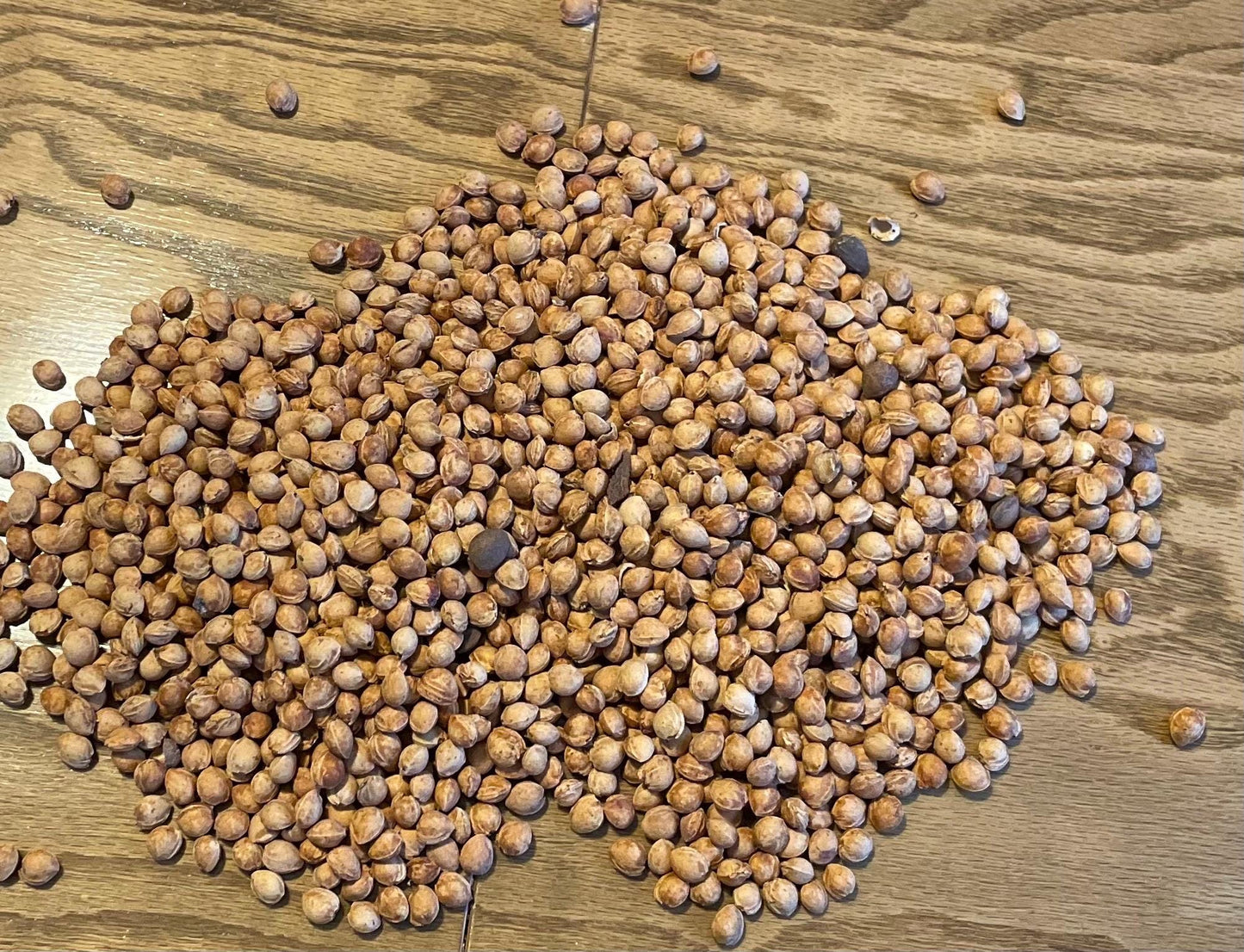 Natural Cherry Pits for Crafts