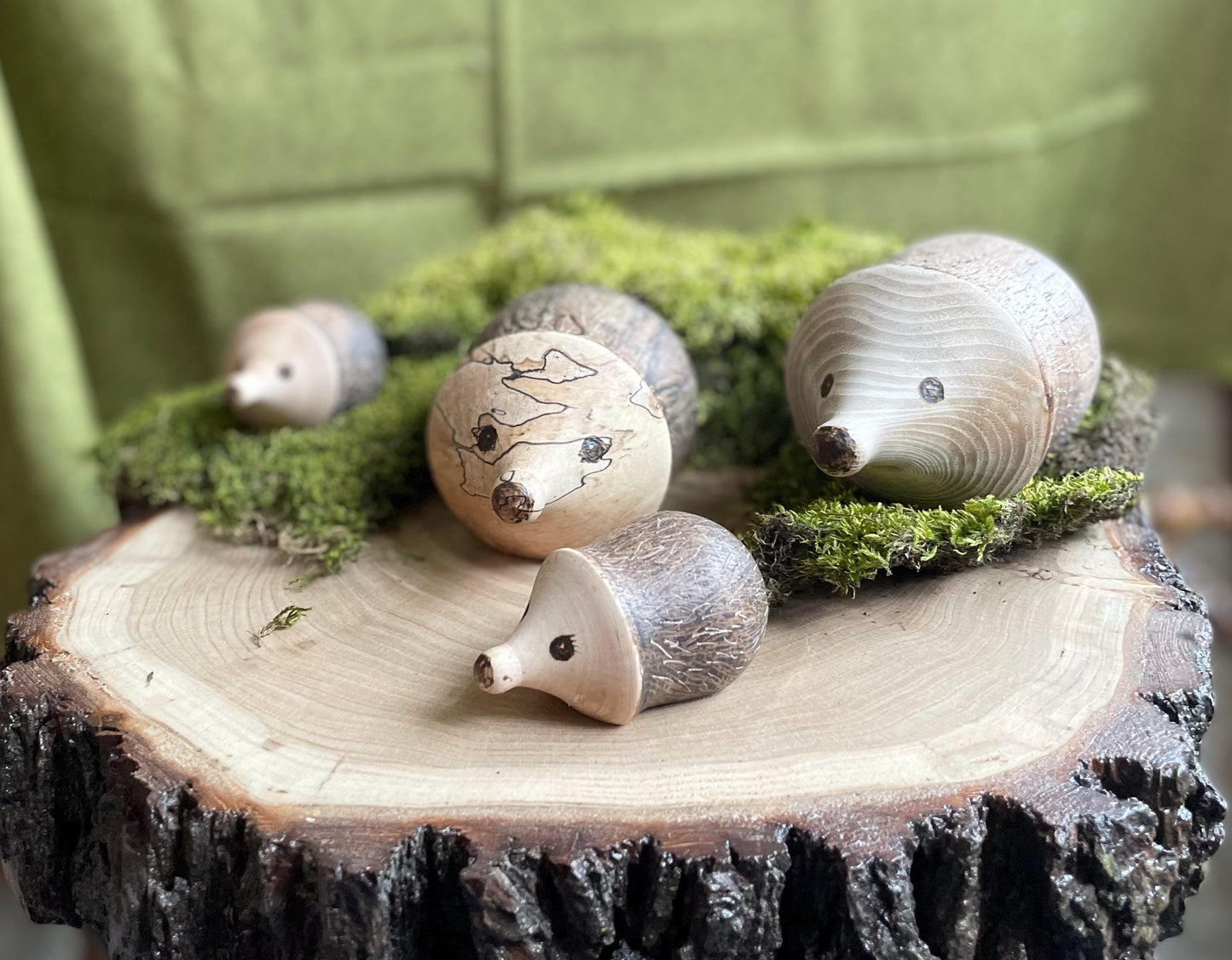 Wood Hedgehog