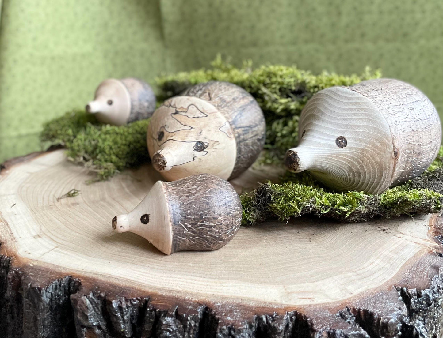 Wood Hedgehog