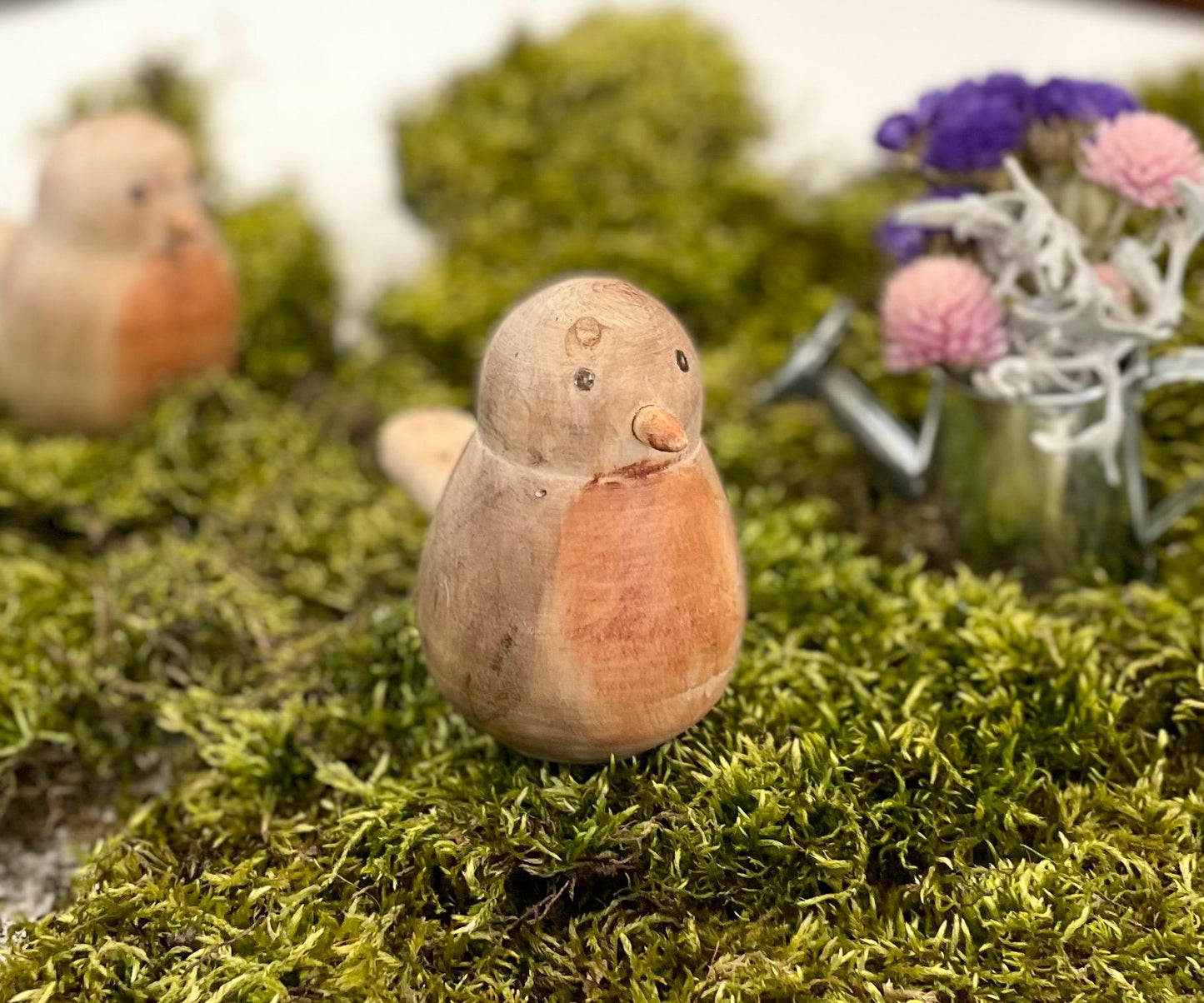 Wood Spring Robin