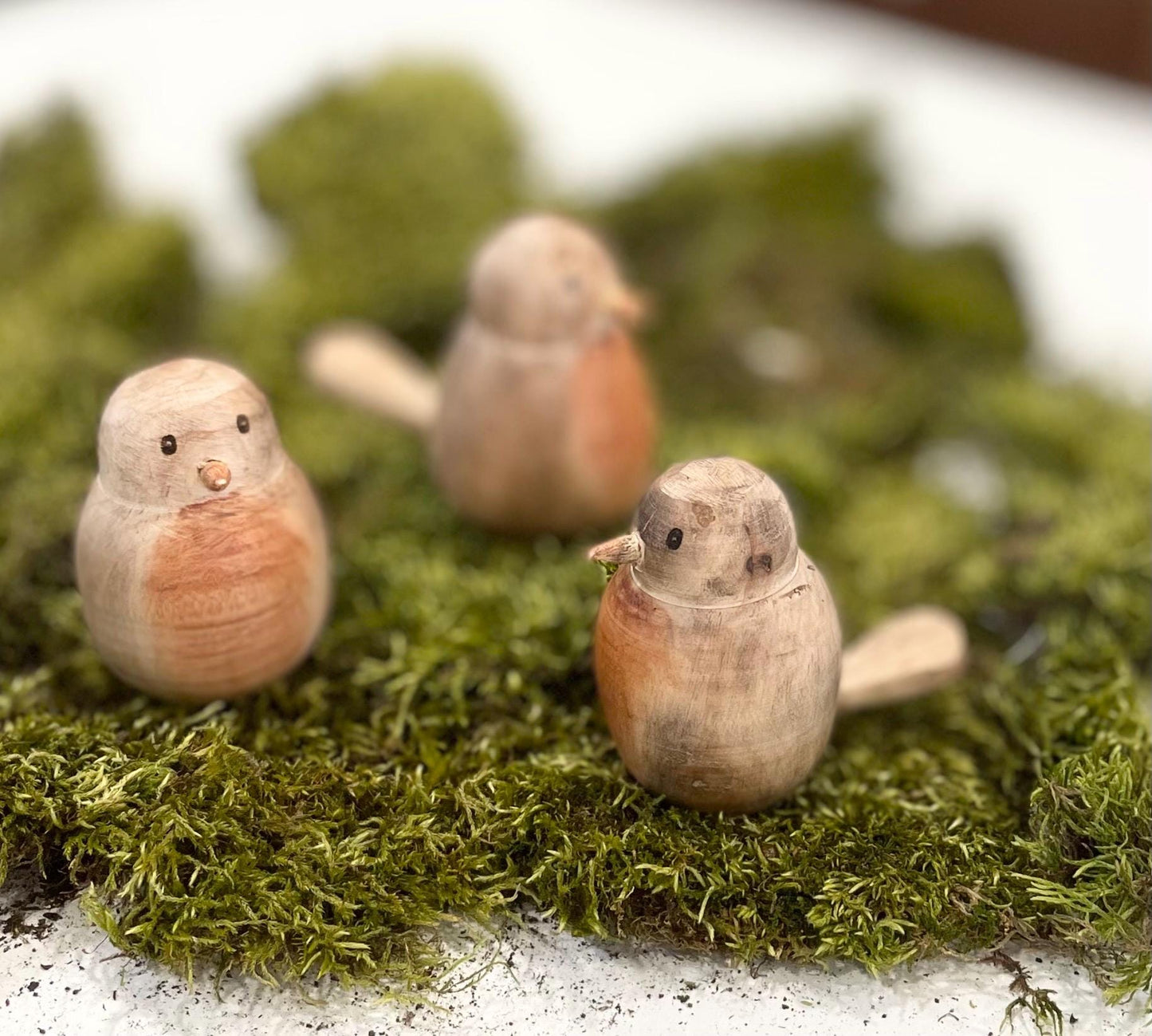 Wood Spring Robin