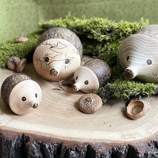 Wood Hedgehog
