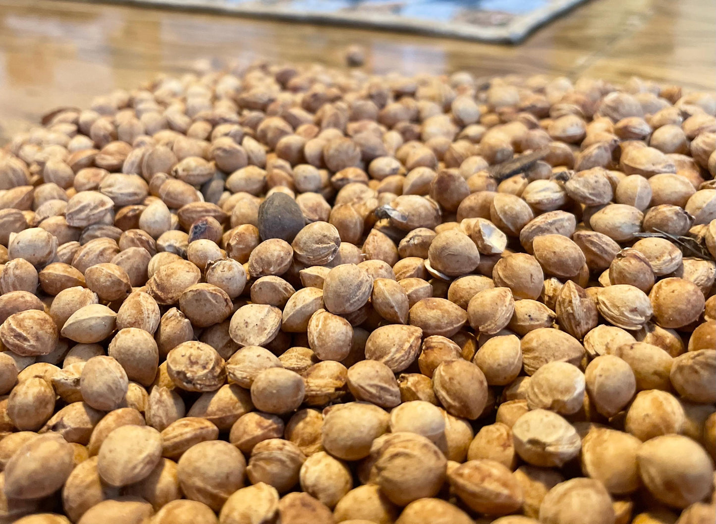 Natural Cherry Pits for Crafts