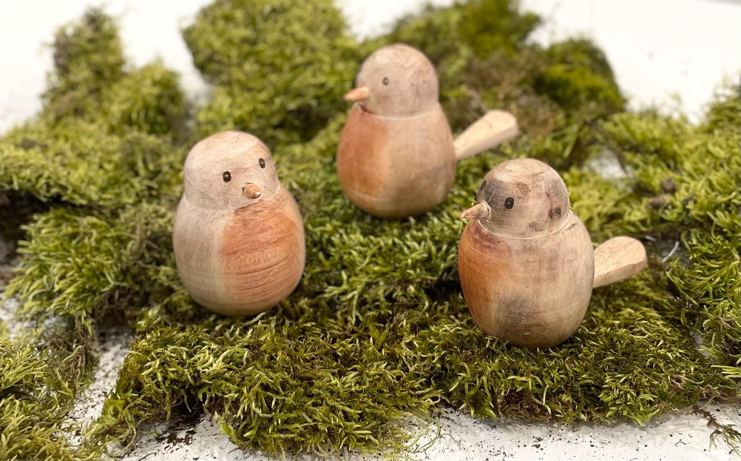 Wood Spring Robin