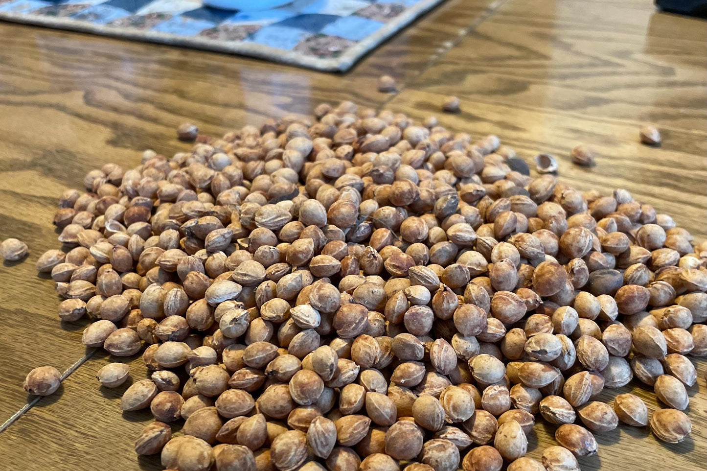 Natural Cherry Pits for Crafts