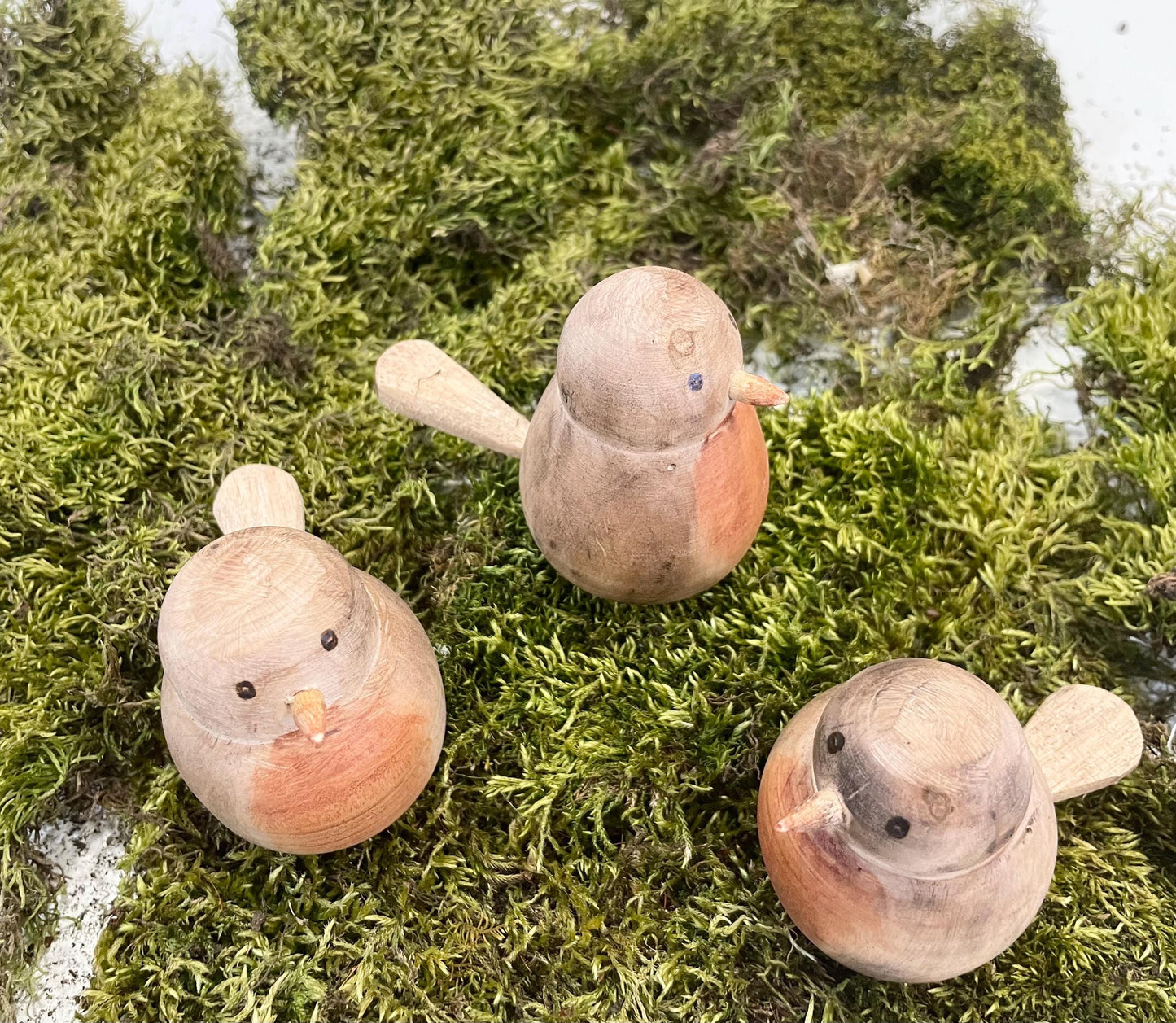 Wood Spring Robin