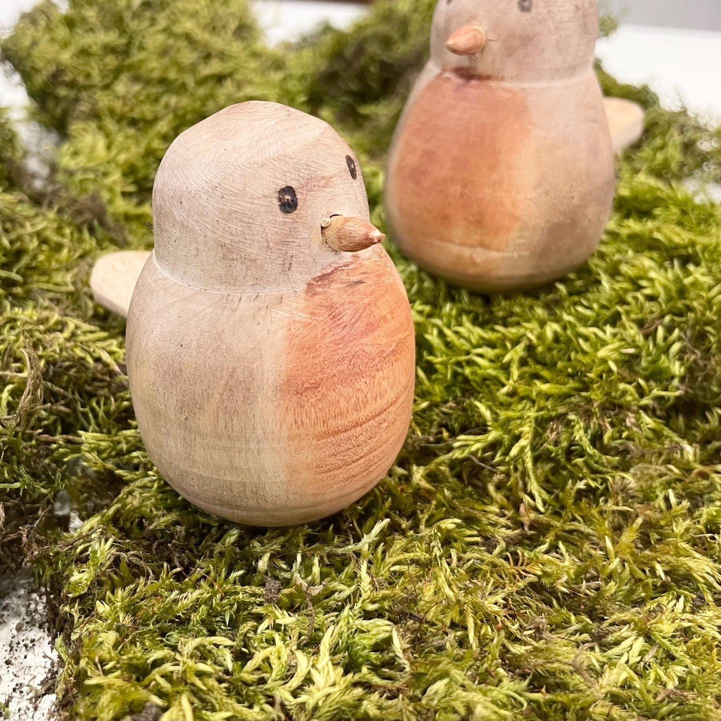 Wood Spring Robin