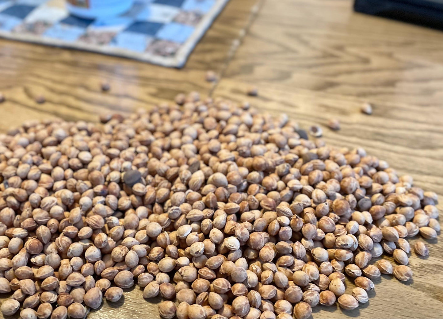 Natural Cherry Pits for Crafts